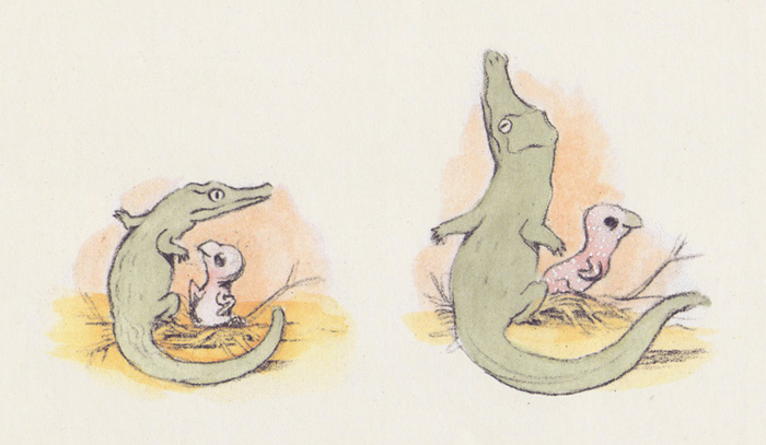 Illustration from 'Croc & Bird' by Alexis Deacon