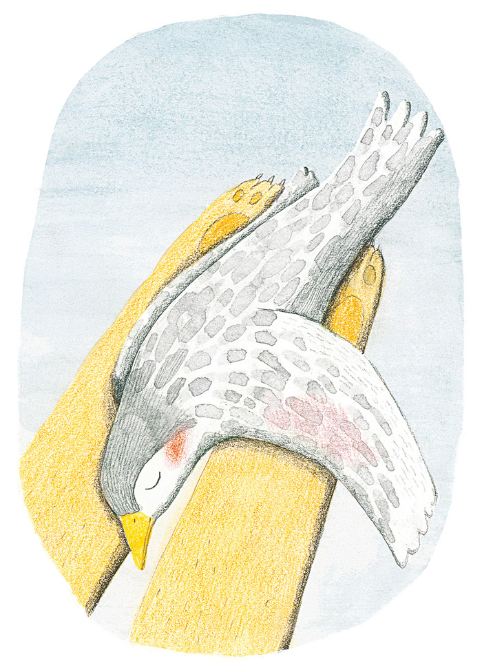 Illustration by Marianne Dubuc – from 'Le Lion et l'oiseau / The Lion and the Bird'