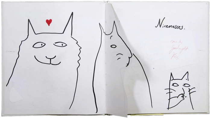 Dummy for 'There are Cats in This Book' by Viviane Schwarz