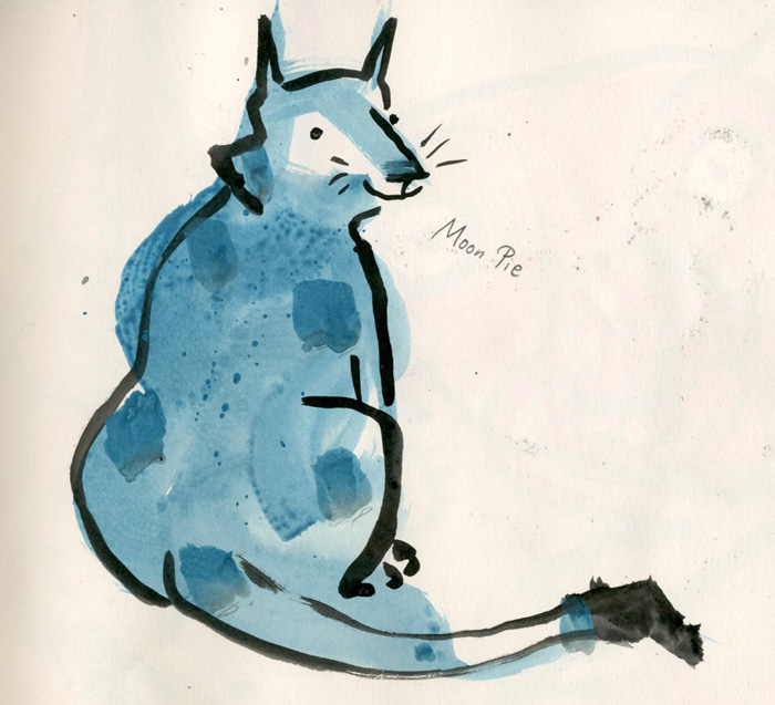 Development work for 'There are Cats in This Book' by Viviane Schwarz